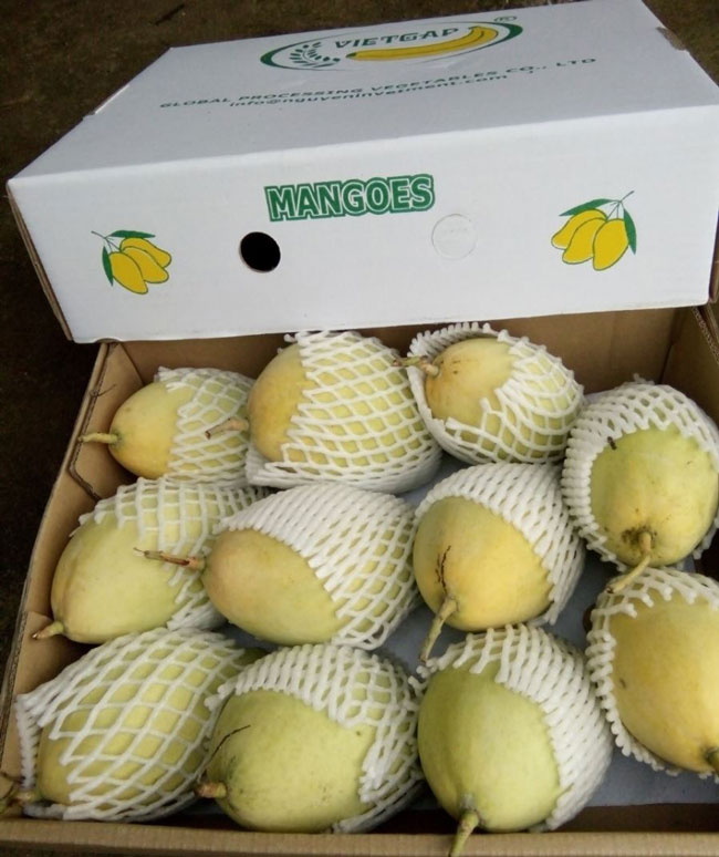 in thùng carton đựng xoài