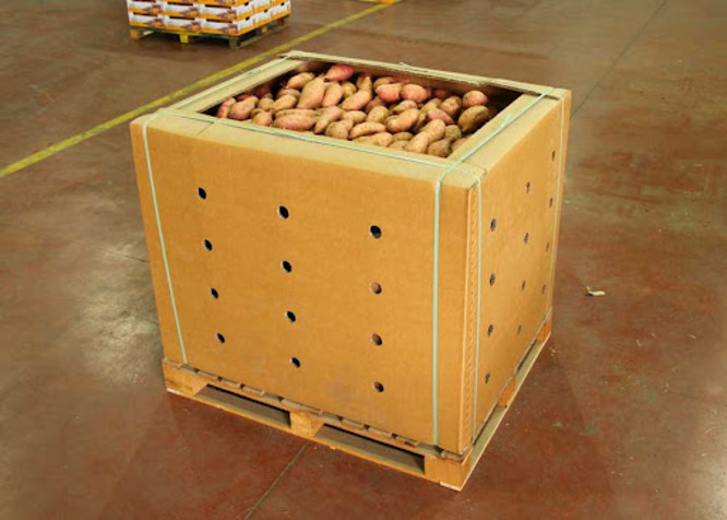  thùng carton đựng khoai lang