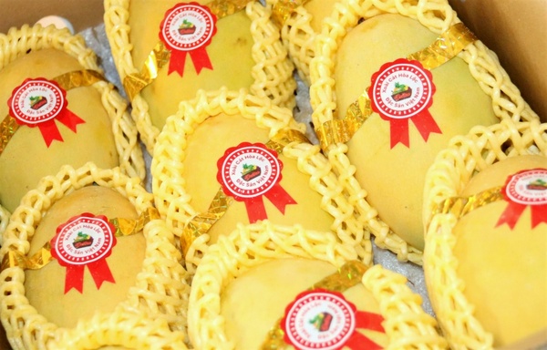 tiêu chuẩn xoài xuất khẩu trung quốc