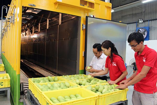 tiêu chuẩn xuất khẩu xoài sang trung quốc