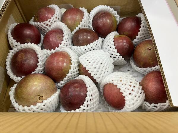 kích thước thùng carton đựng vú sữa
