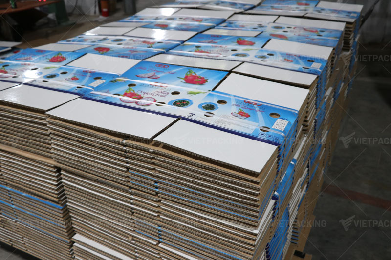 Vietpacking - Chuyên sản xuất thùng carton đựng thanh long in Offset xuất khẩu