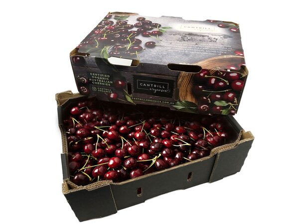 thùng carton đựng cherry thùng carton đựng cherry