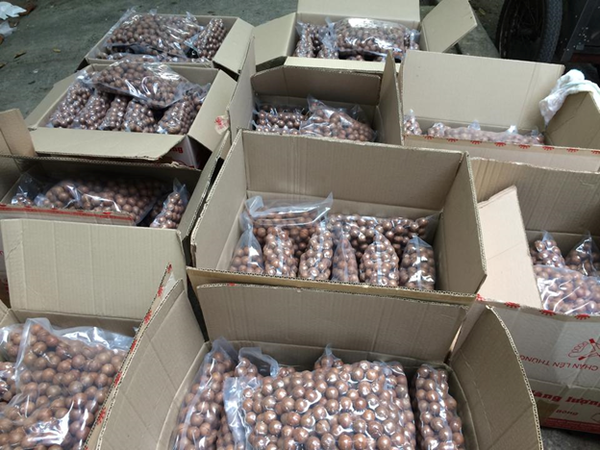 thùng carton đựng hạt macca