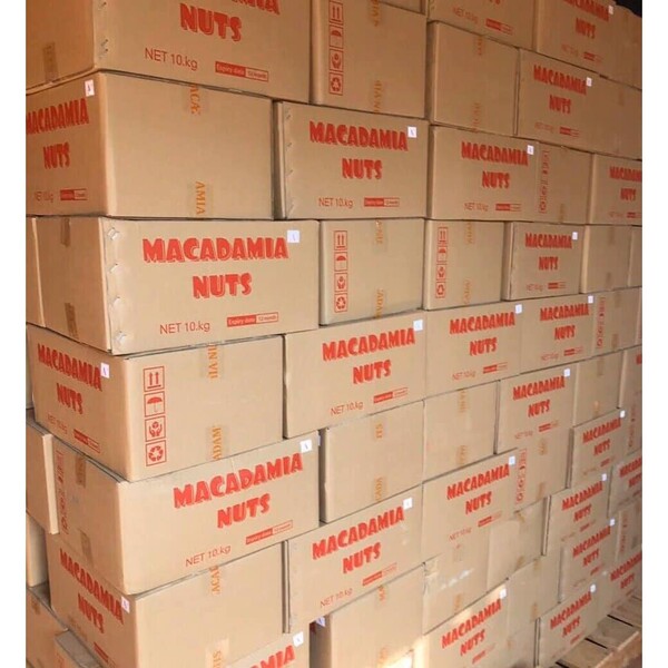 thùng giấy carton đựng hạt macca