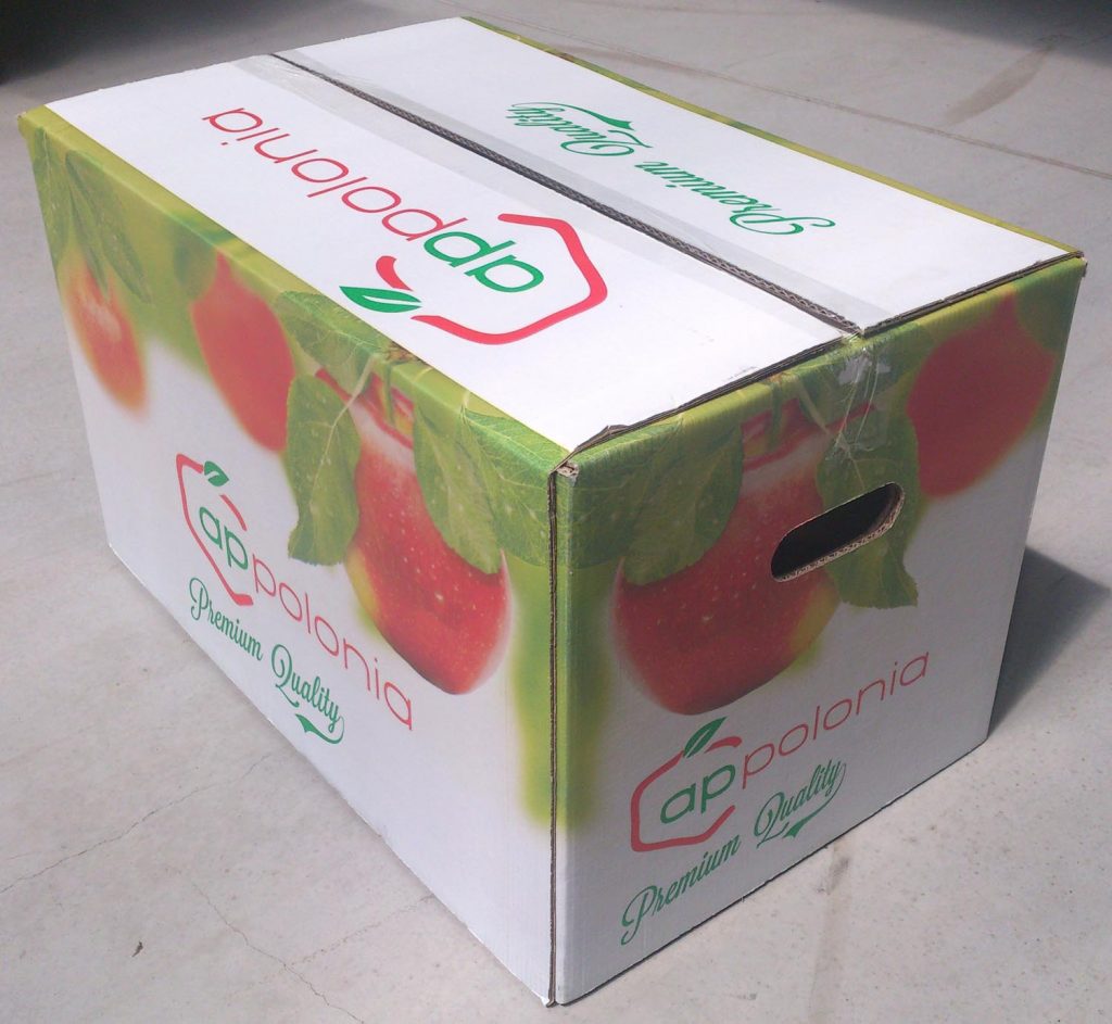 thùng giấy đựng táo xuất khẩu