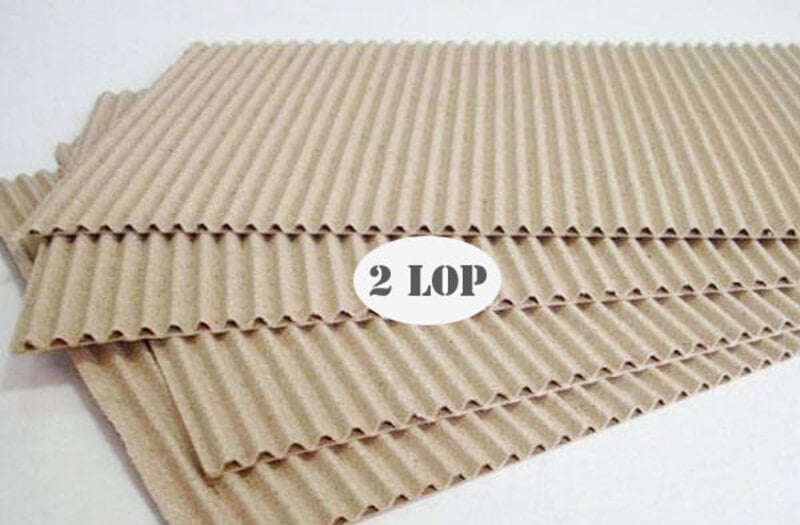 Carton 2 lớp